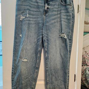 Lane Bryant Jeans